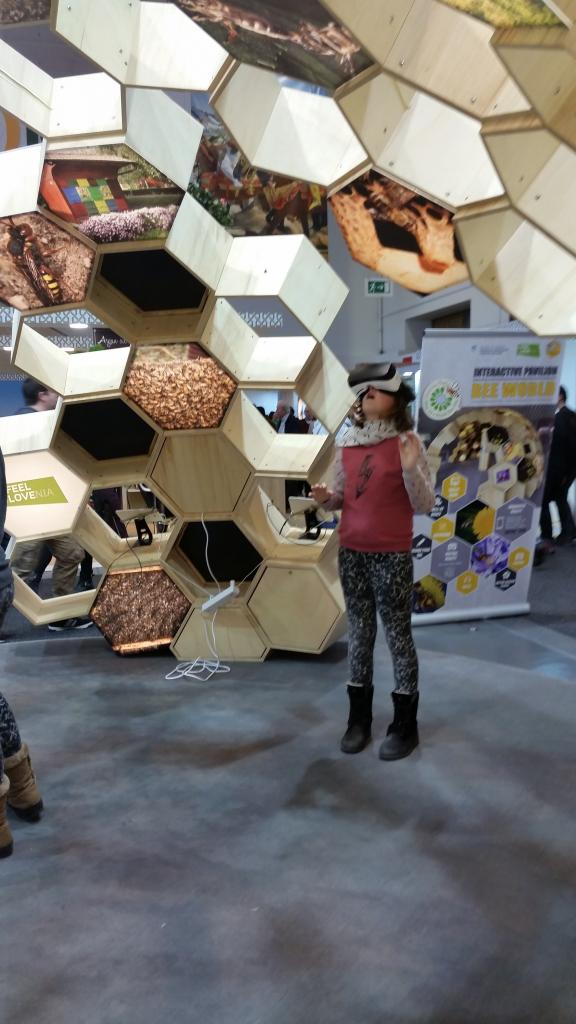 Im Inneren bekam man eine VR-Brille und konnte sich in einem Bienenvolk oder auf einem Flugbrett eines Bienenstandes umschauen.