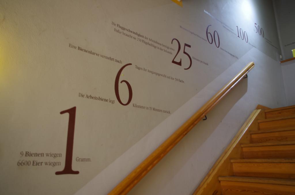 Zur Ausstellung geht es zwei Treppen hoch - mit passendem Wandschmuck