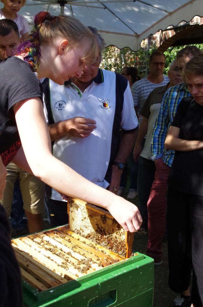 Natürlich geht es auch an die Bienen - eine Mitarbeiterin zeigt ein Volk.