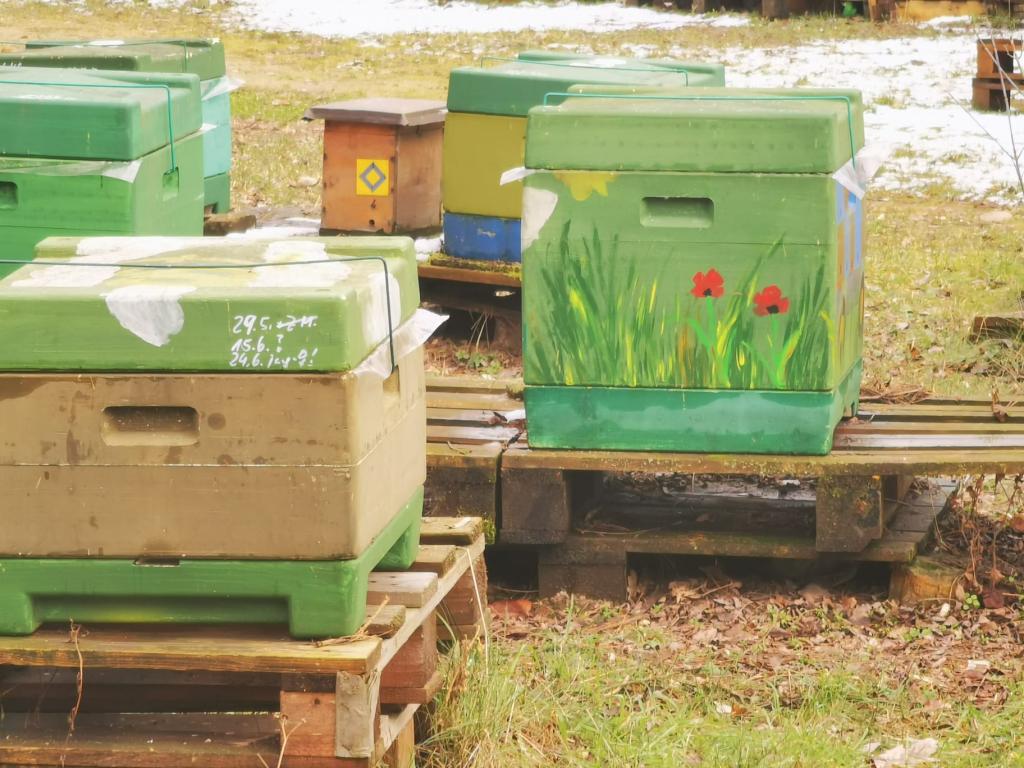 Nun zu den Bienen - Segeberger in DN und DN 1,5, einige Dadant-Beuten zum Völkerverkauf sind auch dabei.